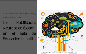 Habilidades Neuropsicológicas aplicadas a la Educación Infantil.