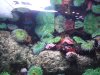 minioceanario10