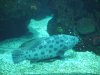 minioceanario2