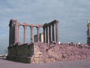 minievora4