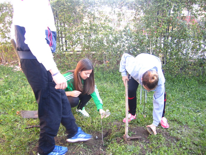 apadrina un arbol8