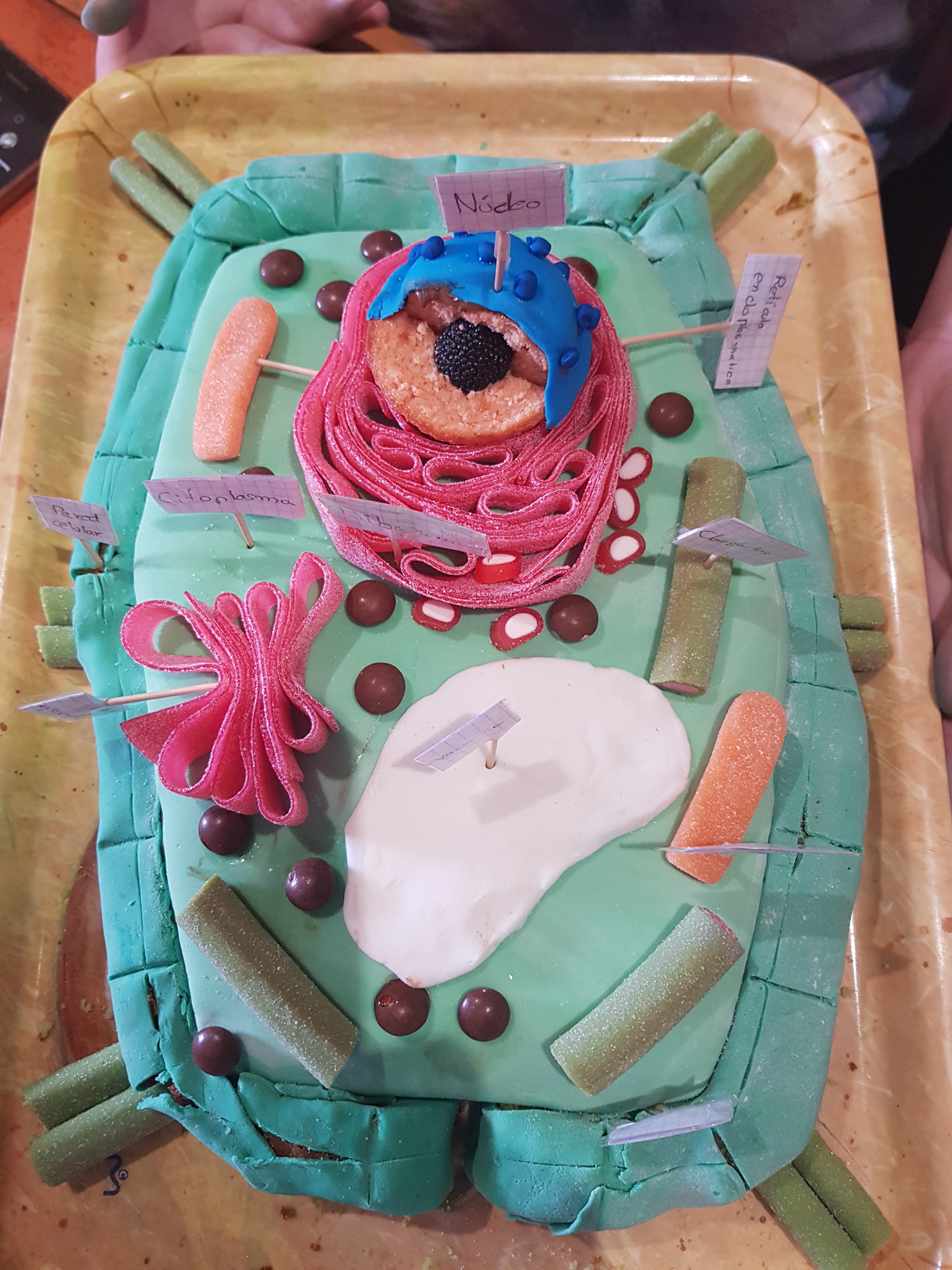 TARTA mARINA