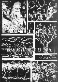 portada6