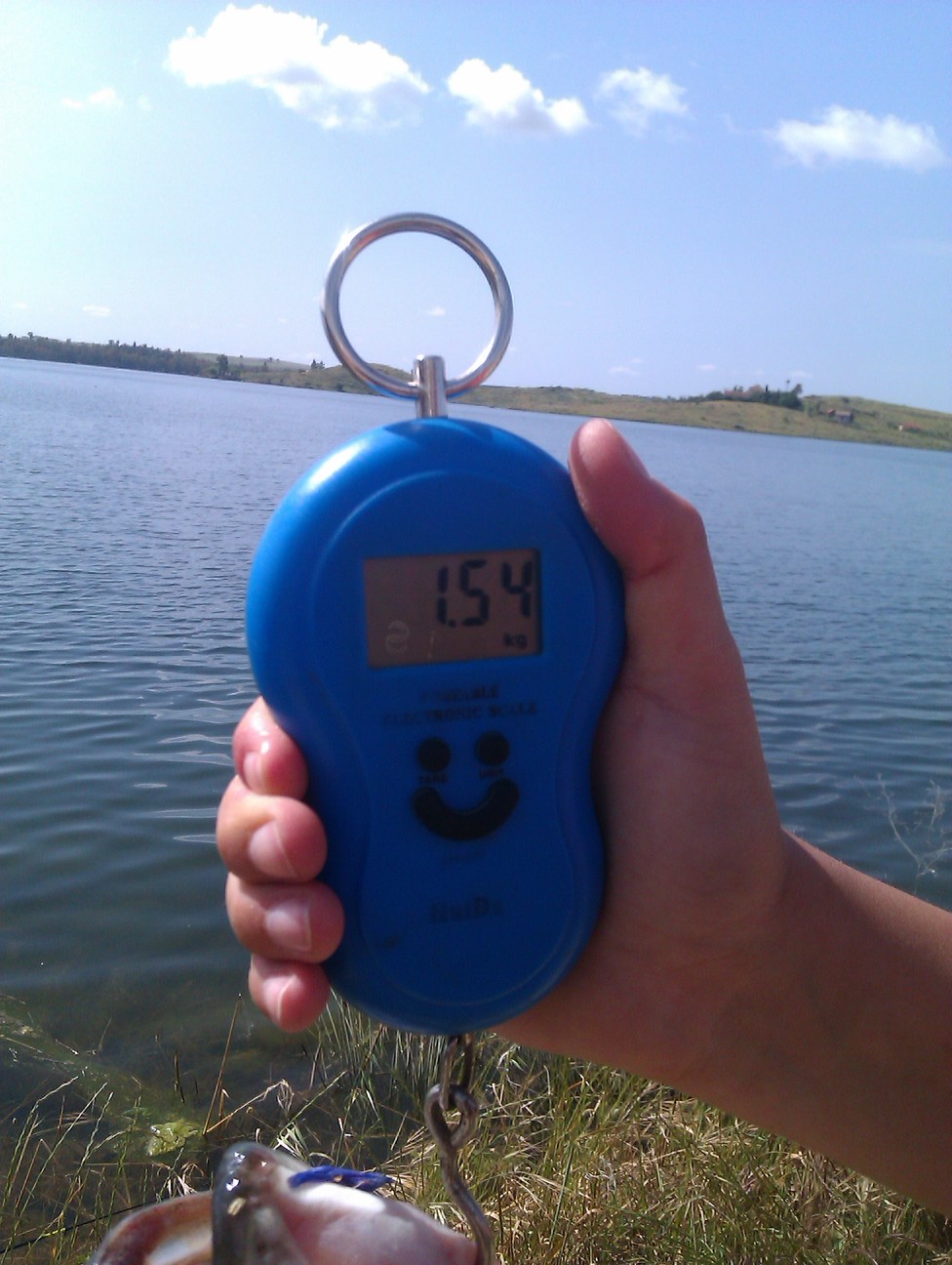 IMAG0172