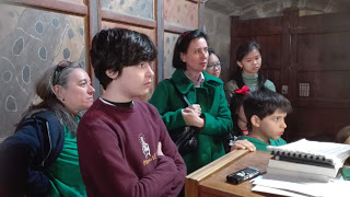 grupo organo