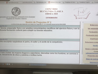 Carmen4
