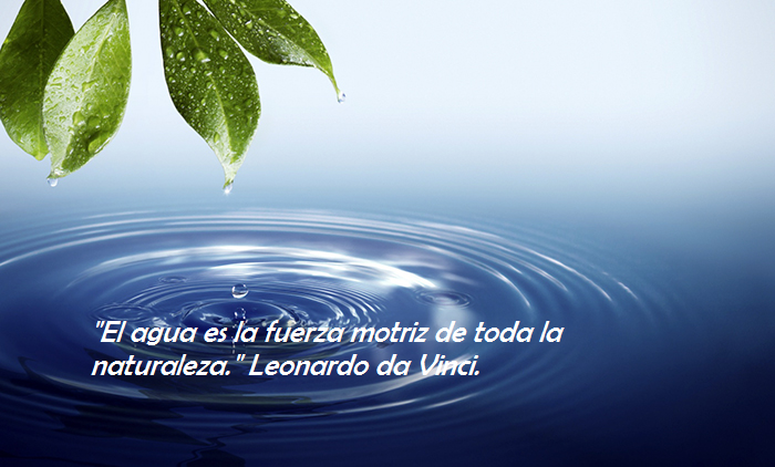 cartelagua