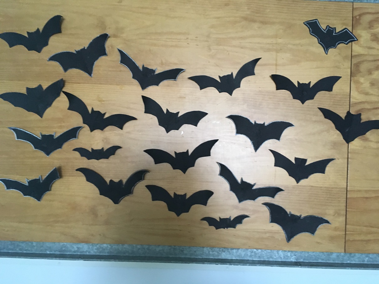 SCHOOLS BATS 30