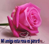 amiga-rosa-para-ti