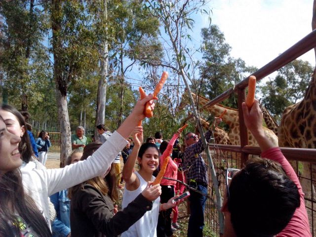 IMG-20150417-WA0003