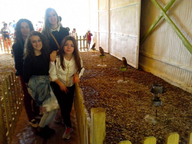 IMG-20150417-WA0033