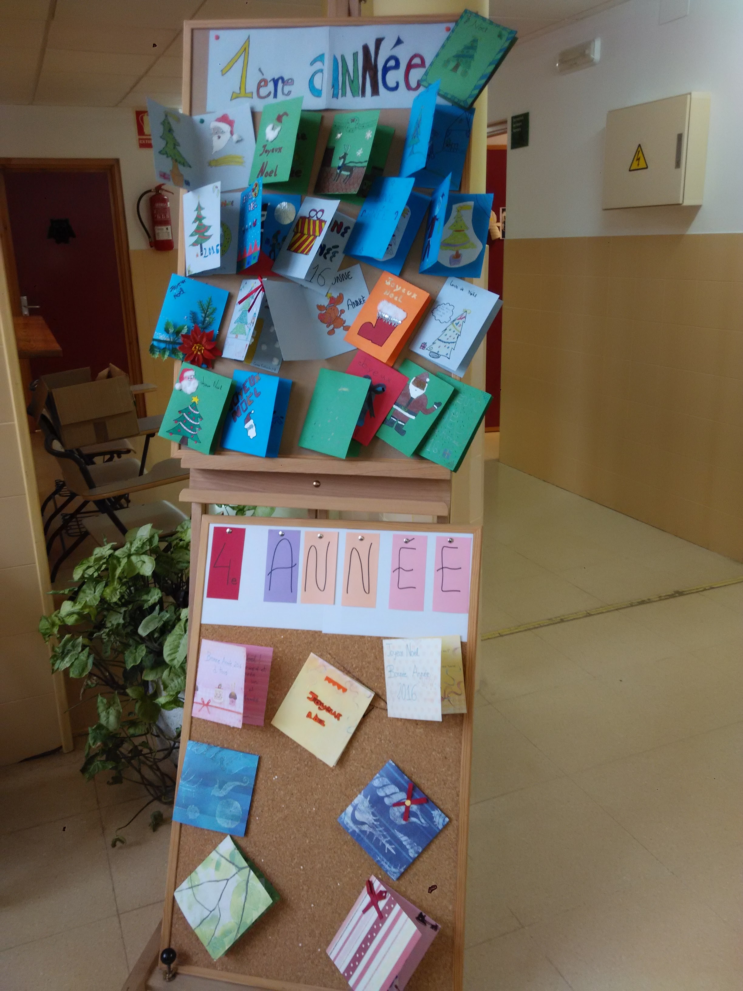 IMG 21122015 120231