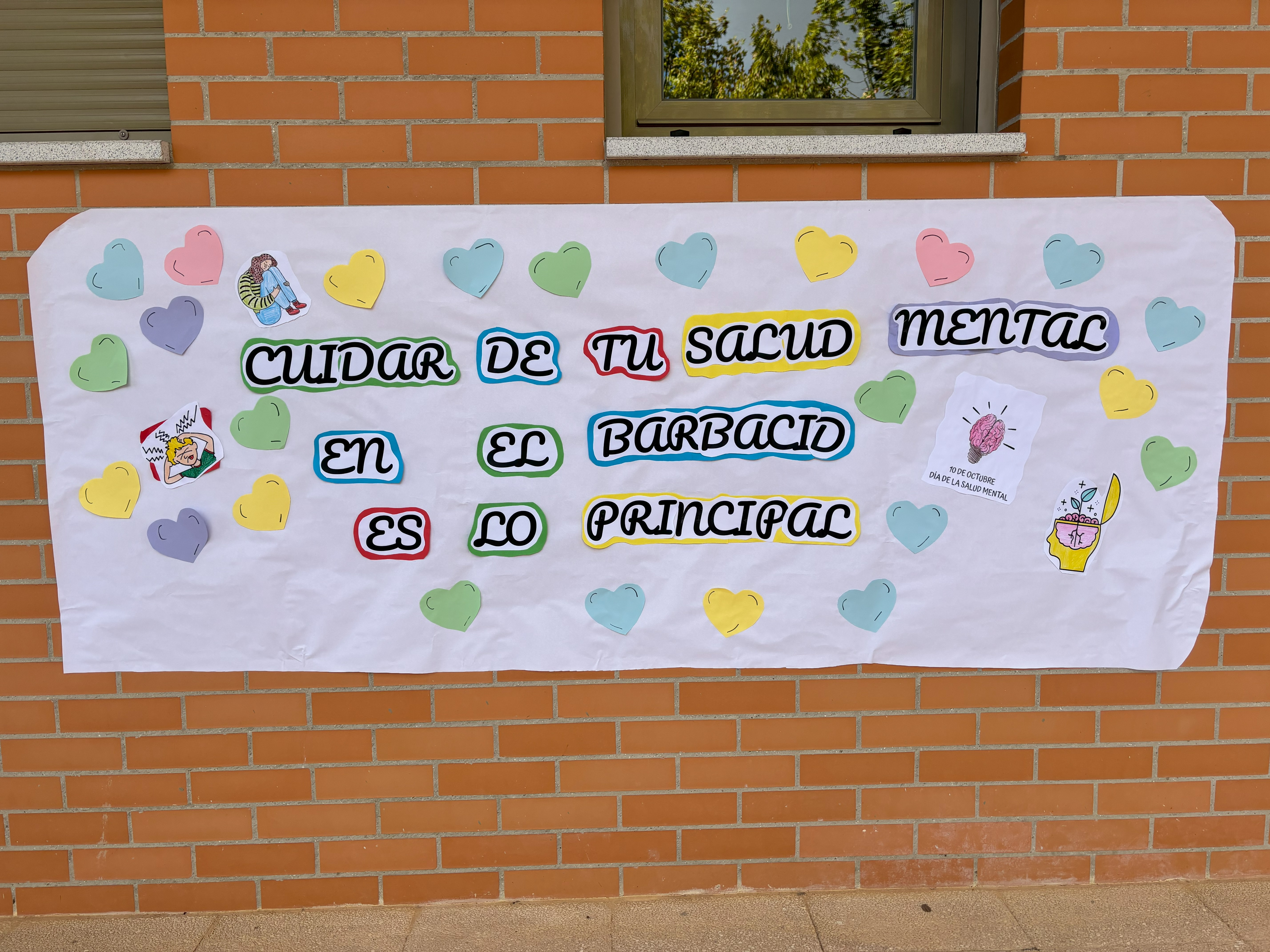 5 Insti Compartir
