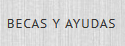 becas