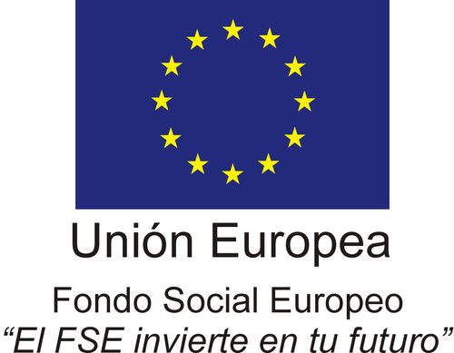 fse vertical color pantone