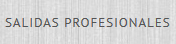salidas profesionales