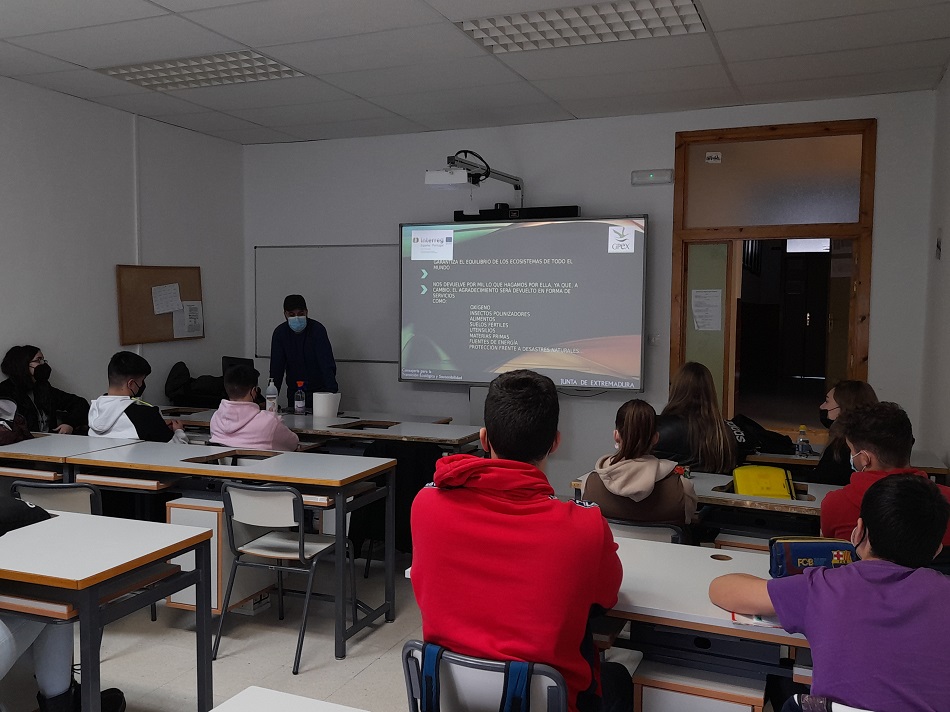 Foto 4 ed ambiental