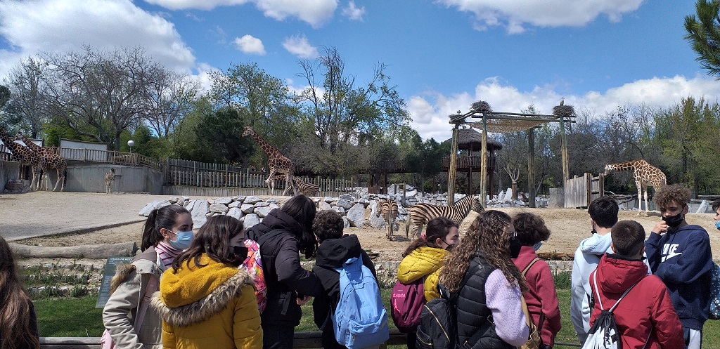 zoo 2