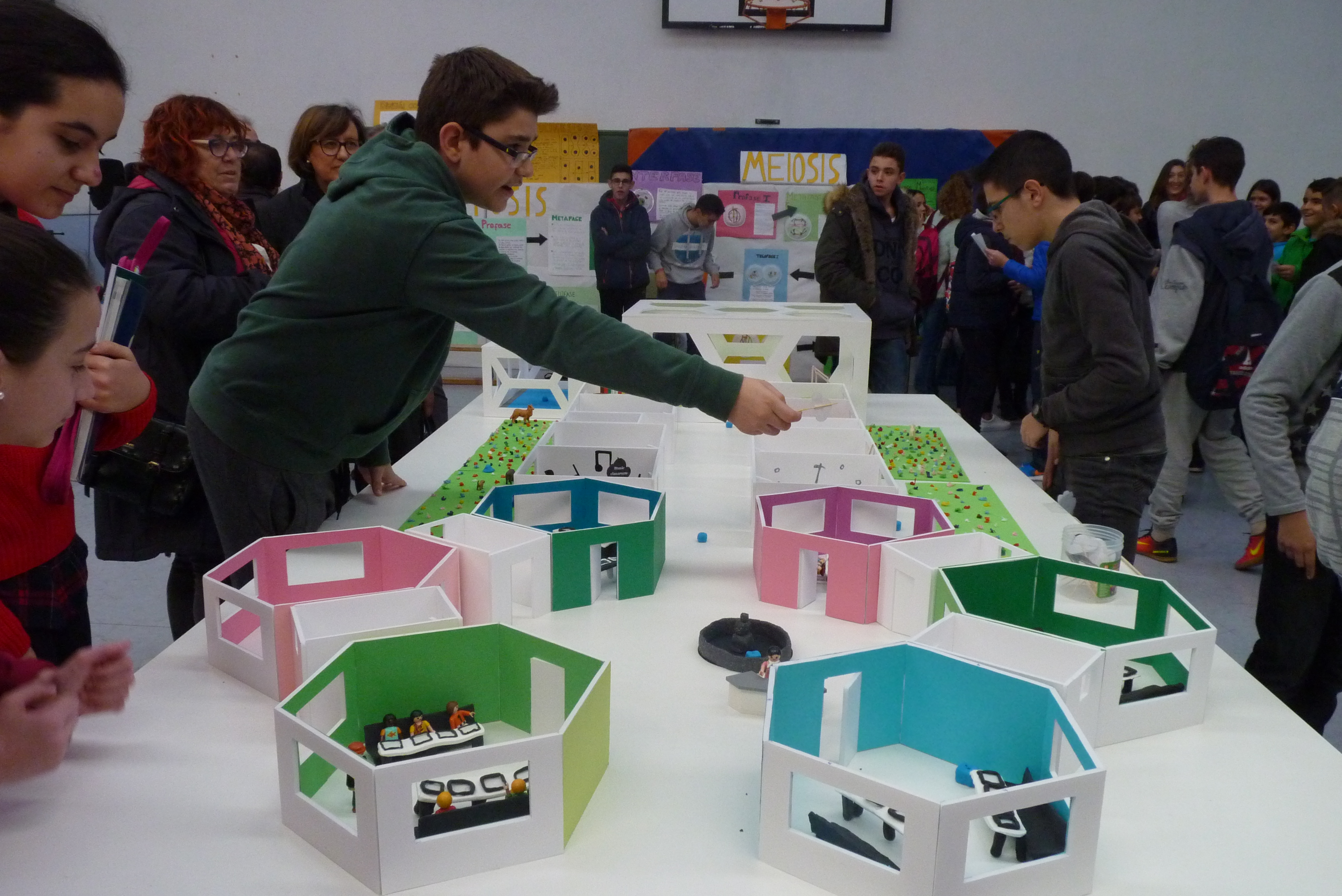 My ideal school explicación