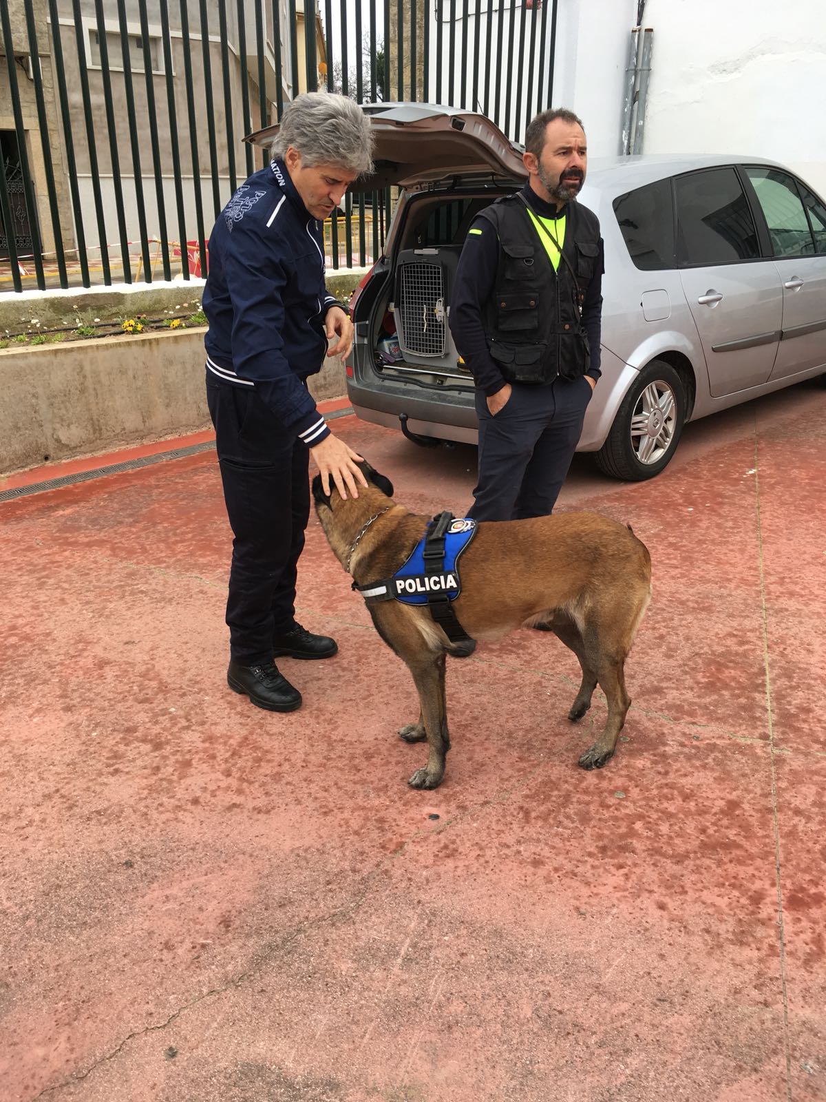 perros 1
