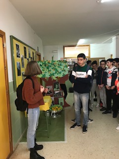 IMG 7361