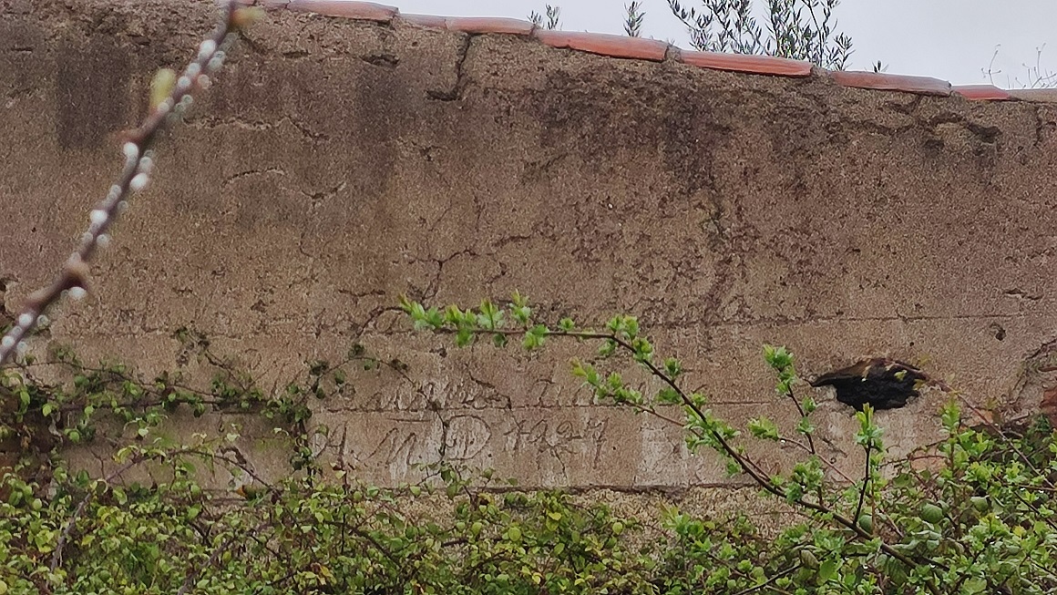 Caozu2