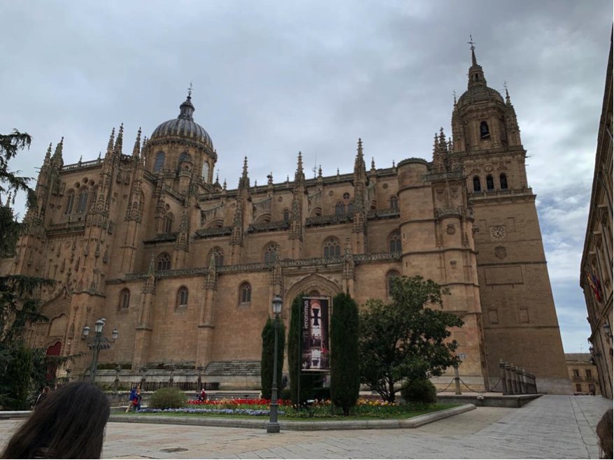Catedral Plaza Anaya