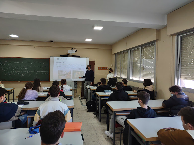 Proyectos edificacion 1