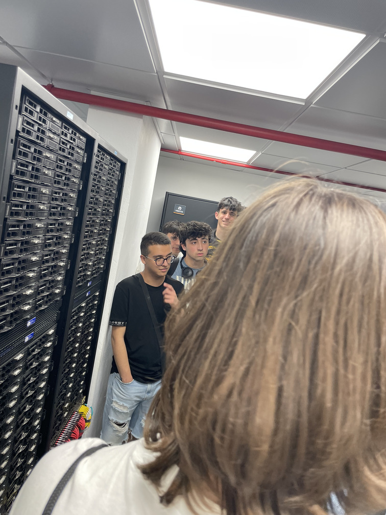 IMG 3556