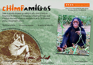 miniatura lemba