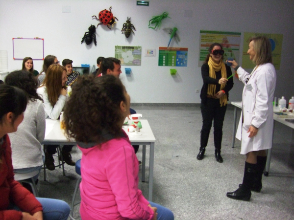 Experimenta 1