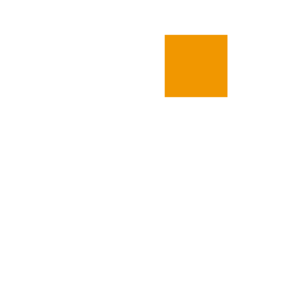 Logo blanco y naranja sin texto