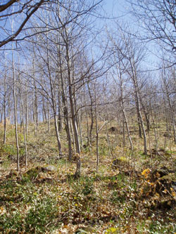 p3080007 p3080007