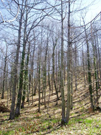 p3080012 p3080012