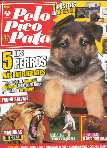 pelopicooct
