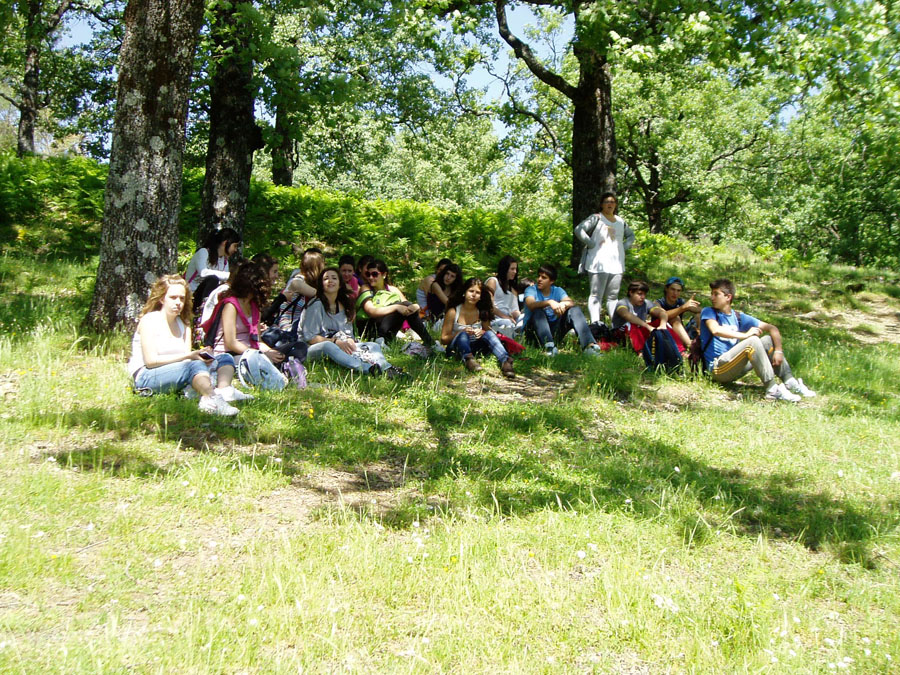 20.20 mayo 2010