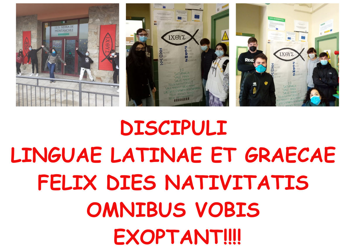 latin collage2