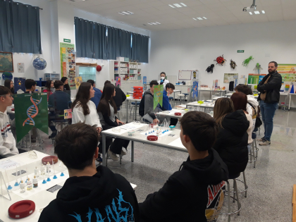 experimenta 3