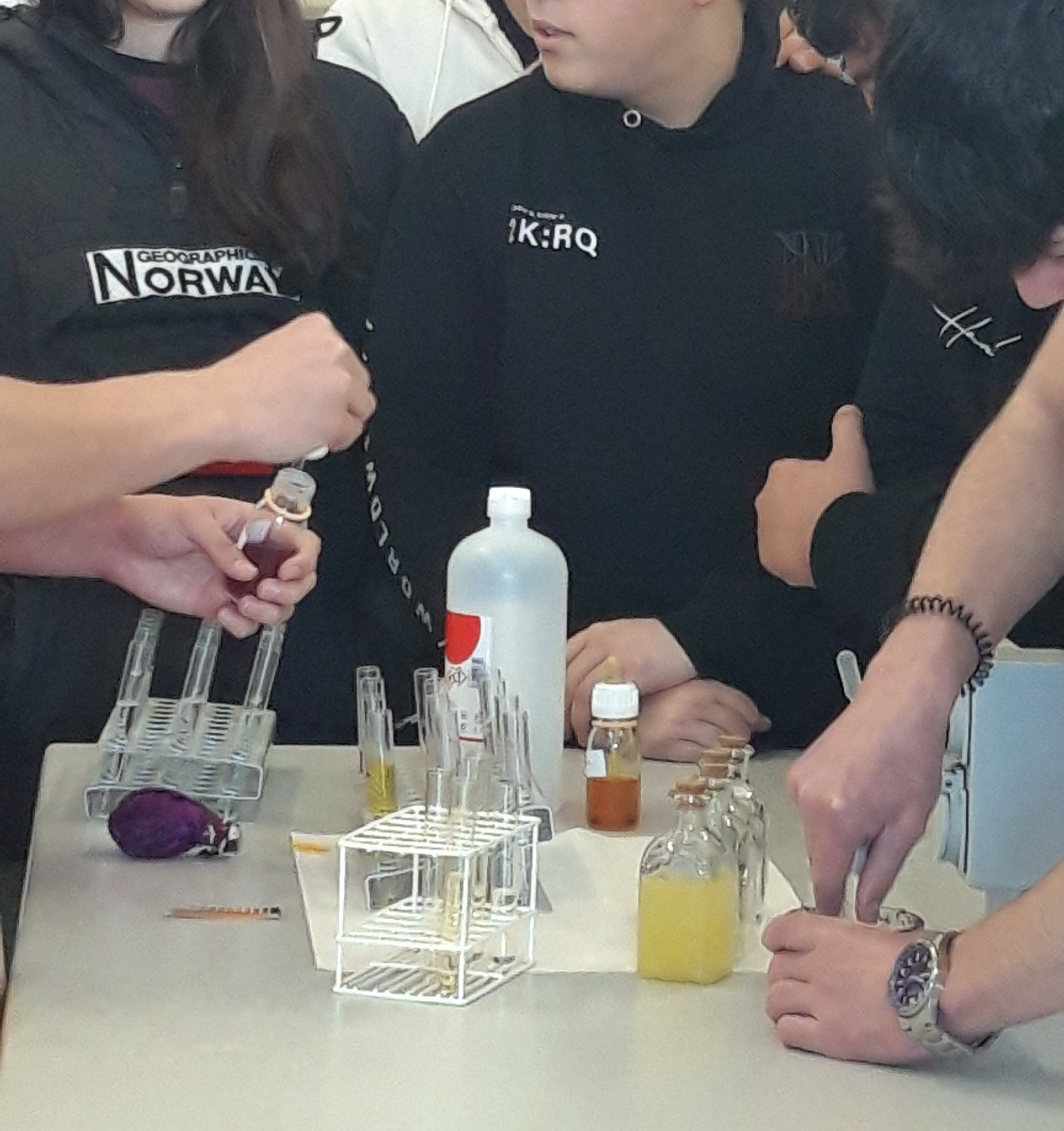TallerCiencias 2