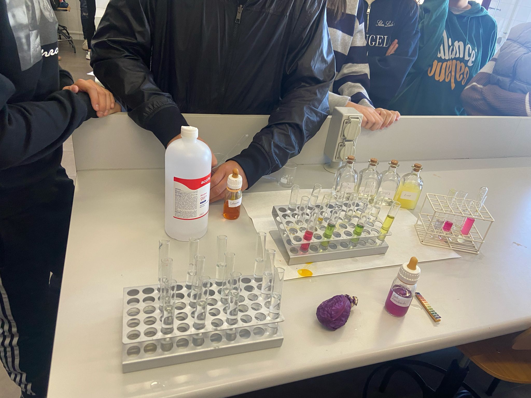 TallerCiencias 3