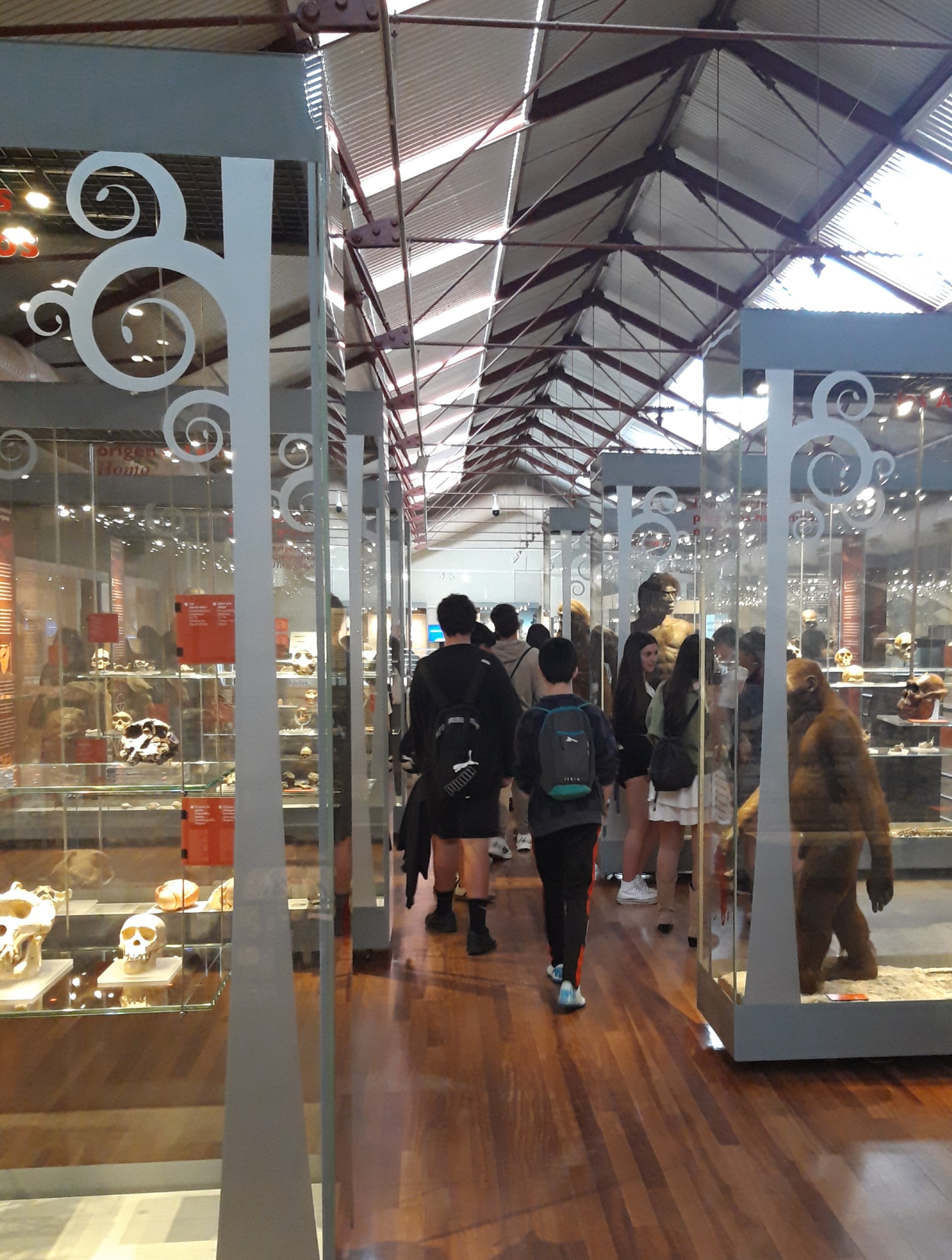 museo ciencias naturales 1