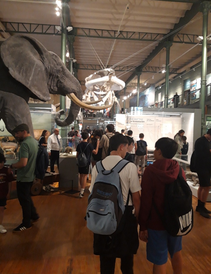 museo ciencias naturales 2