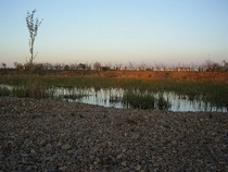 04_900px