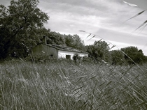 08_900px