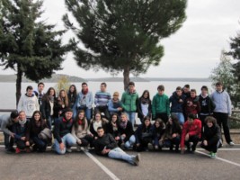 grullas2