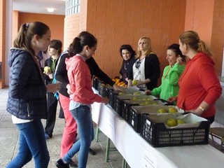 desayuno saludable 2015 ampa 03 320