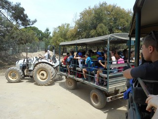 53 safari 2