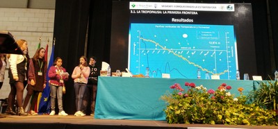 11 rc 2