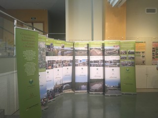 31 expo 2