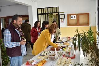 17 dia centro 66